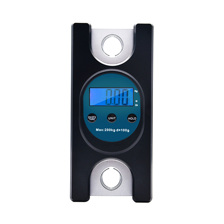 300kg Electronic Huge Crane Digital Scale