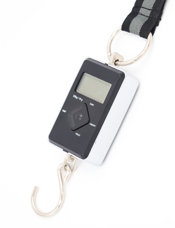 50kg Handheld Electronic Scale for Travel with Auto Hold Function