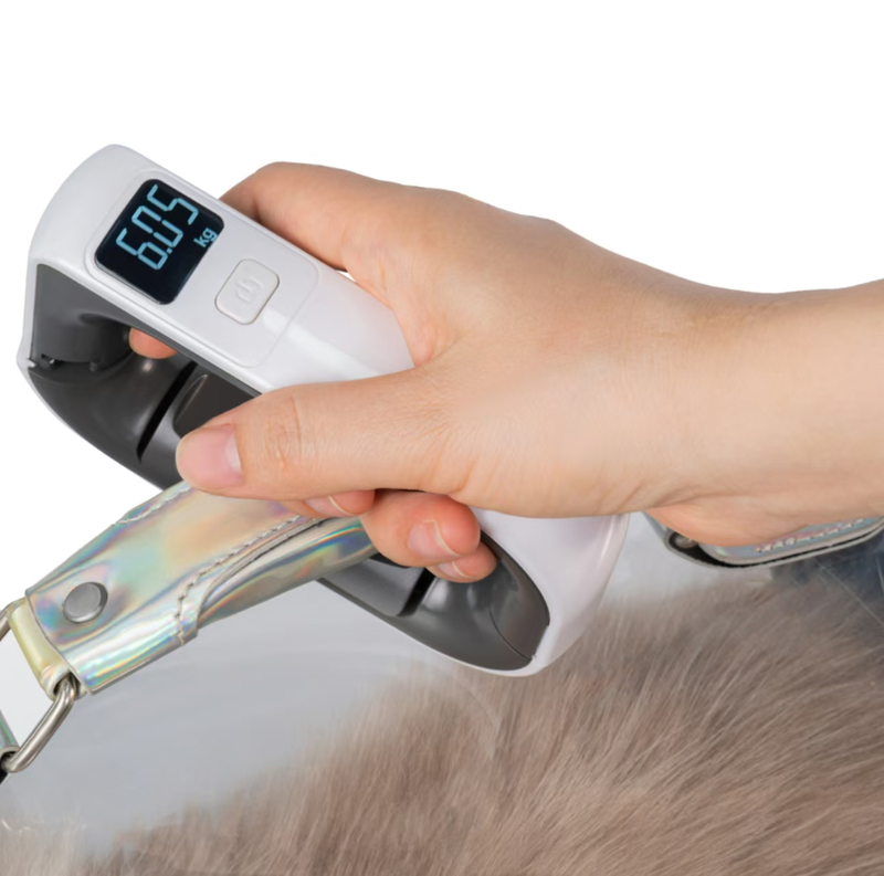 50kg Electronic Portable Digital Luggage Weiging Scale OCS-41