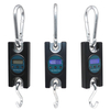 Digital Crane Hanging Scale 300kg Fishing Scales Weighing Crane Scales for Industrial