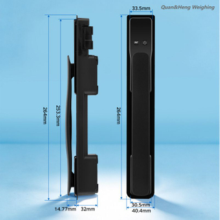 Intelligent luggage handle scale