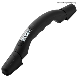 Intelligent luggage handle scale